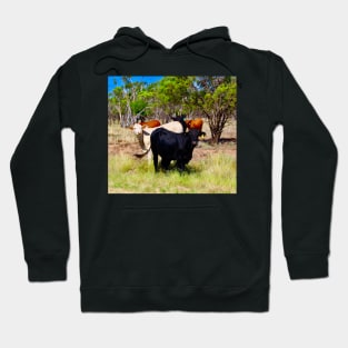 Cattle in the Outback! Hoodie